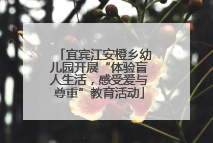 宜宾江安橙乡幼儿园开展“体验盲人生活，感受爱与尊重”教育活动