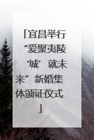 宜昌举行“爱聚夷陵‘城’就未来”新婚集体颁证仪式