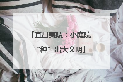 宜昌夷陵：小庭院“种”出大文明