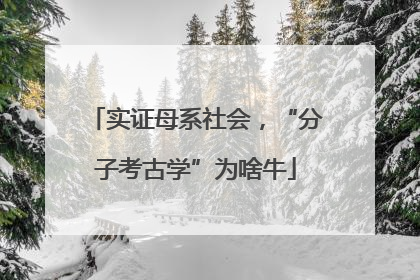 实证母系社会，“分子考古学”为啥牛