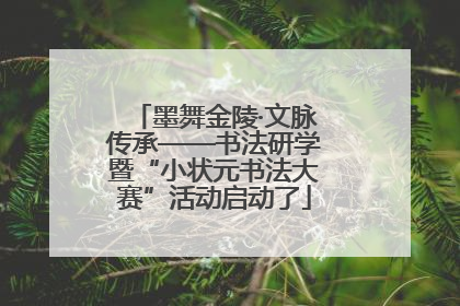墨舞金陵·文脉传承——书法研学暨“小状元书法大赛”活动启动了
