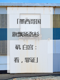 墨西哥国旗飘扬洛杉矶 白宫：看，罪证