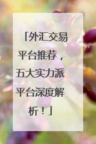 外汇交易平台推荐，五大实力派平台深度解析！