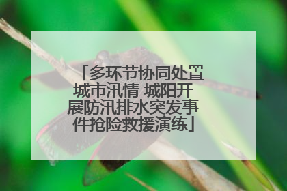 多环节协同处置城市汛情 城阳开展防汛排水突发事件抢险救援演练