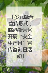 多元融合宣传形式，临港新片区开展“安全生产月”宣传咨询日活动