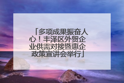 多项成果振奋人心！丰泽区外贸企业供需对接暨惠企政策宣讲会举行