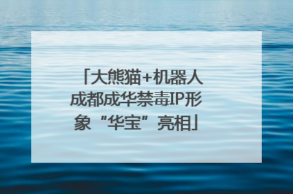 大熊猫+机器人 成都成华禁毒IP形象“华宝”亮相