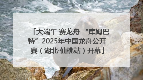 大端午 赛龙舟 “库姆巴特”2025年中国龙舟公开赛（湖北·仙桃站）开幕