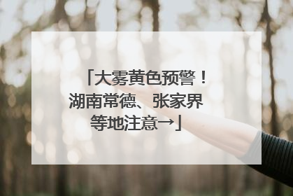 大雾黄色预警！湖南常德、张家界等地注意→