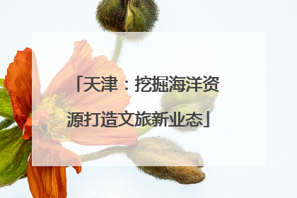 天津：挖掘海洋资源打造文旅新业态