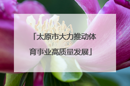 太原市大力推动体育事业高质量发展