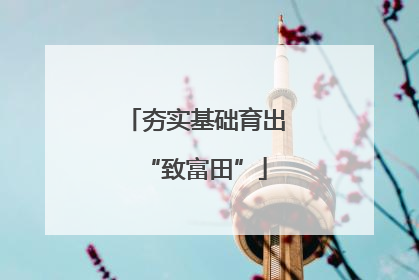 夯实基础育出“致富田”