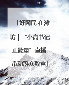 好网民·在潍坊｜“小高书记正能量”直播 带动群众致富