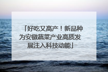 好吃又高产！新品种为安徽蔬菜产业高质发展注入科技动能