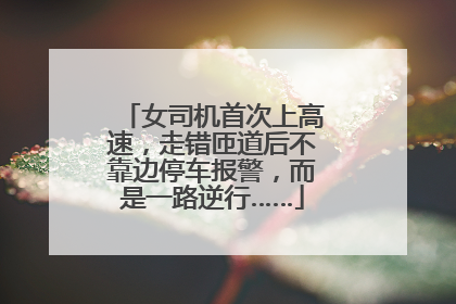 女司机首次上高速，走错匝道后不靠边停车报警，而是一路逆行……