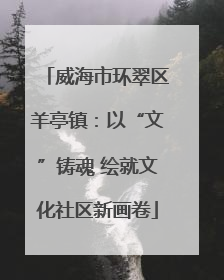 威海市环翠区羊亭镇：以“文”铸魂 绘就文化社区新画卷