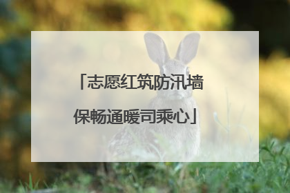 志愿红筑防汛墙 保畅通暖司乘心