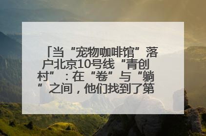 当“宠物咖啡馆”落户北京10号线“青创村”：在“卷”与“躺”之间，他们找到了第三种生活公式