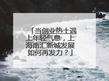 当创业热土遇上年轻气息，上海南汇新城发展如何再发力？