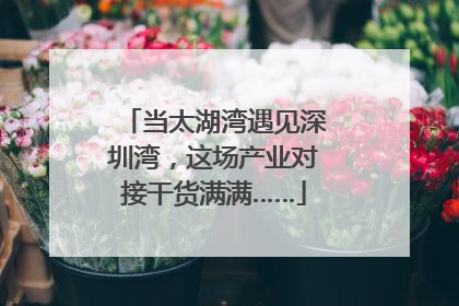 当太湖湾遇见深圳湾，这场产业对接干货满满……
