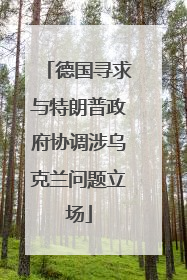 德国寻求与特朗普政府协调涉乌克兰问题立场