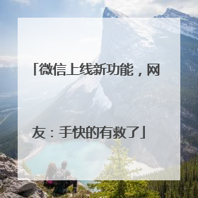 微信上线新功能，网友：手快的有救了
