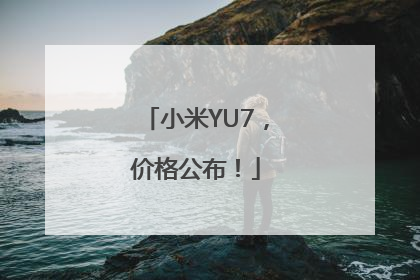 小米YU7，价格公布！