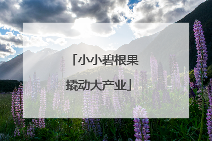 小小碧根果撬动大产业