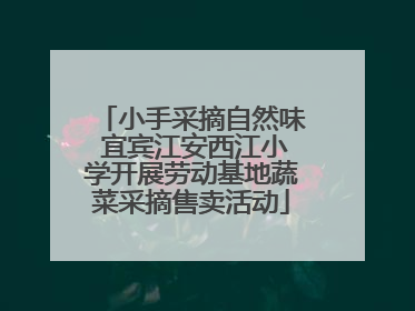 小手采摘自然味 宜宾江安西江小学开展劳动基地蔬菜采摘售卖活动