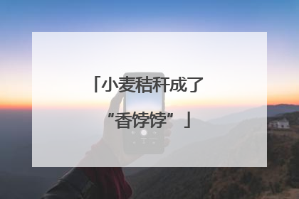 小麦秸秆成了“香饽饽”