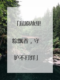 屈原故里粽飘香，守护不打烊