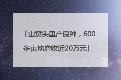 山窝头里产良种，600多亩地增收近20万元