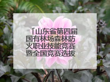 山东省第四届国有林场森林防火职业技能竞赛暨全国竞赛选拔赛鸣锣开赛