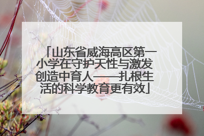 山东省威海高区第一小学在守护天性与激发创造中育人——扎根生活的科学教育更有效
