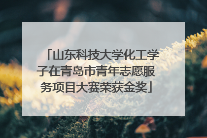 山东科技大学化工学子在青岛市青年志愿服务项目大赛荣获金奖