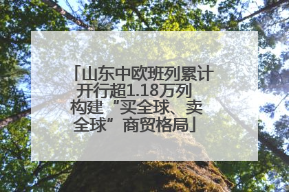 山东中欧班列累计开行超1.18万列 构建“买全球、卖全球”商贸格局