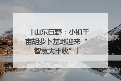 山东巨野：小镇千亩胡萝卜基地迎来“智慧大丰收”