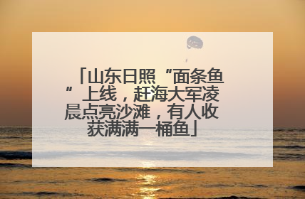 山东日照“面条鱼”上线，赶海大军凌晨点亮沙滩，有人收获满满一桶鱼
