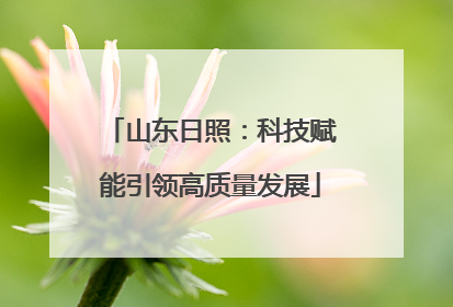 山东日照：科技赋能引领高质量发展