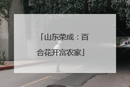 山东荣成：百合花开富农家