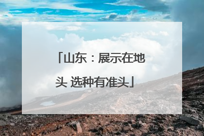 山东：展示在地头 选种有准头