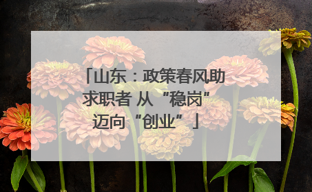山东：政策春风助求职者 从“稳岗”迈向“创业”