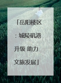 岳阳楼区：城陵矶港升级 助力文旅发展