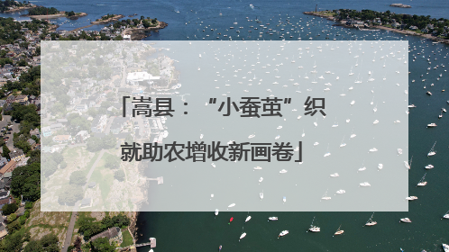 嵩县：“小蚕茧”织就助农增收新画卷
