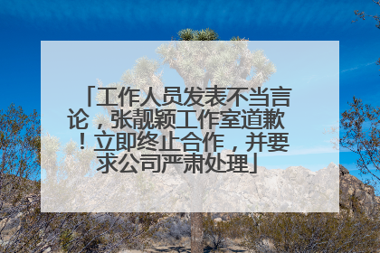 工作人员发表不当言论，张靓颖工作室道歉！立即终止合作，并要求公司严肃处理