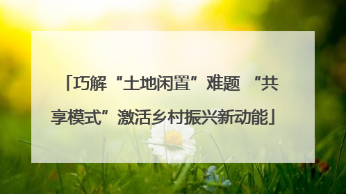 巧解“土地闲置”难题 “共享模式”激活乡村振兴新动能