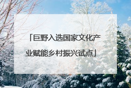 巨野入选国家文化产业赋能乡村振兴试点