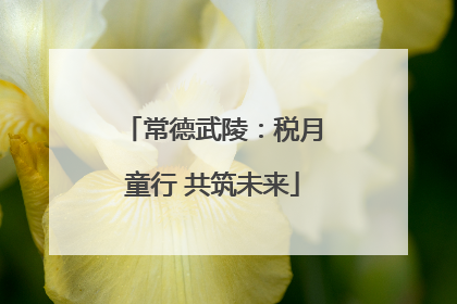 常德武陵：税月童行 共筑未来