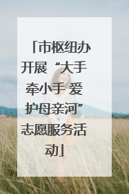 市枢纽办开展“大手牵小手 爱护母亲河”志愿服务活动