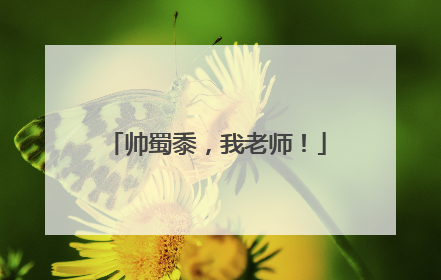 帅蜀黍，我老师！